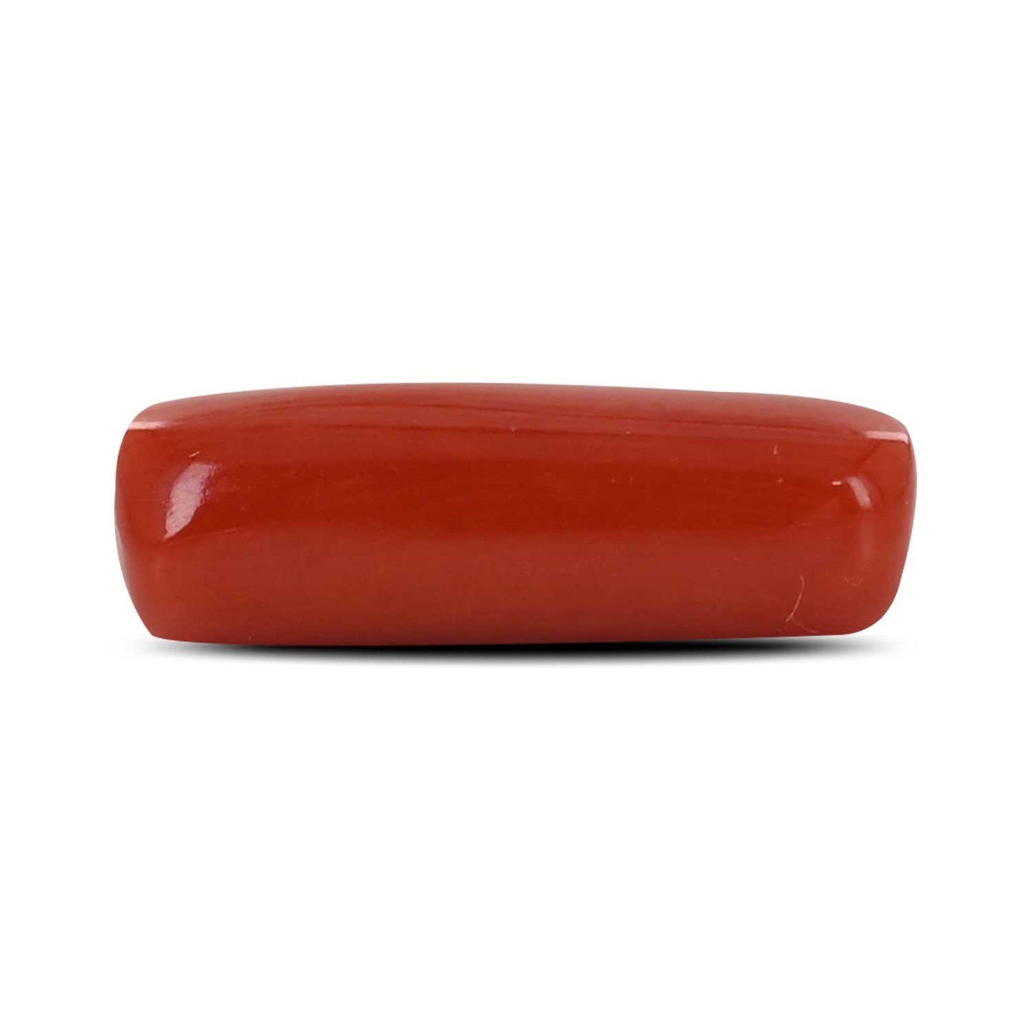 Red Coral (Moonga) - 5.25 Carat