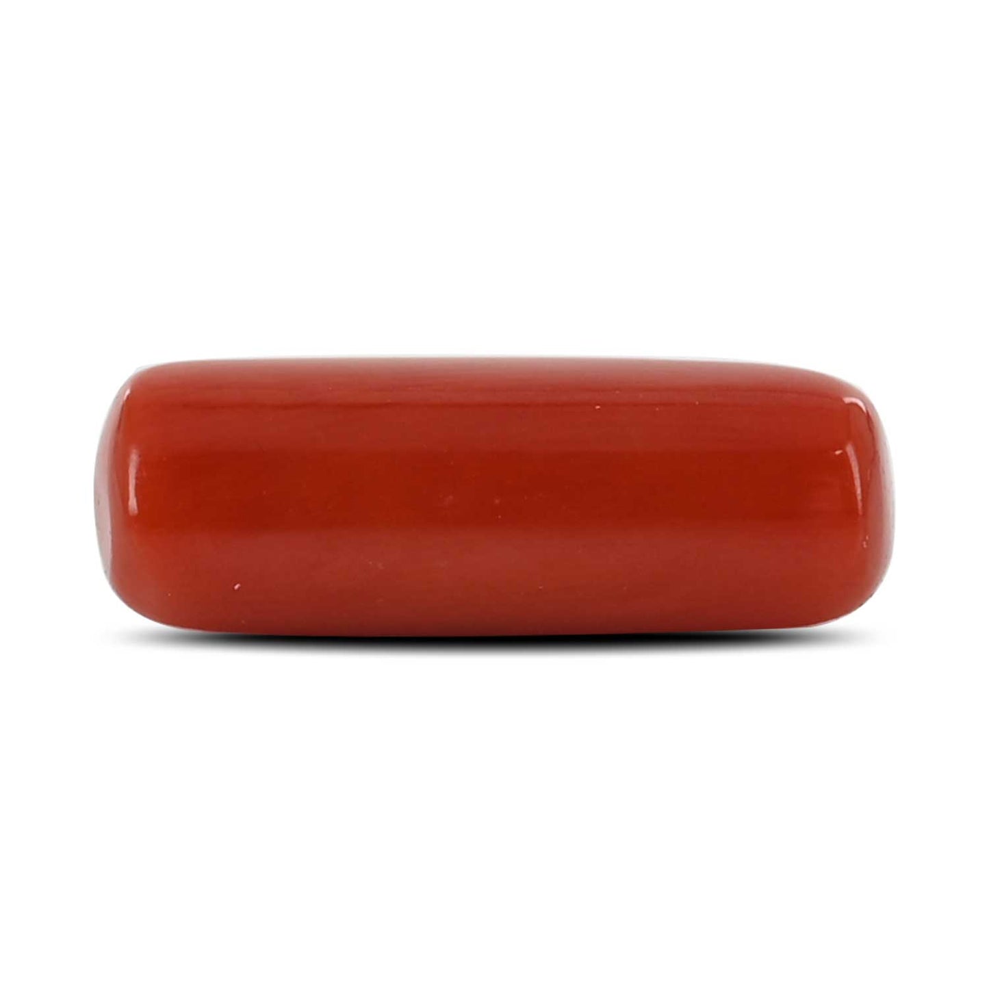 Red Coral (Moonga) - 5.25 Carat