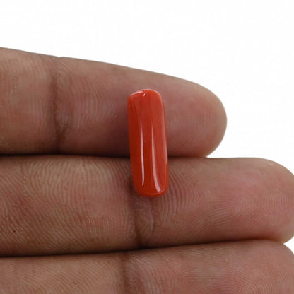 Red Coral (Moonga) - 5.25 Carat