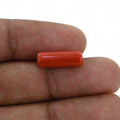 Red Coral (Moonga) - 5.25 Carat