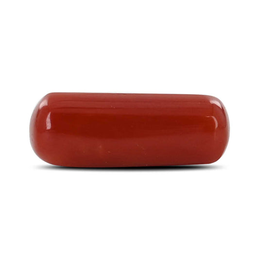 Red Coral (Moonga) - 5.64 Carat