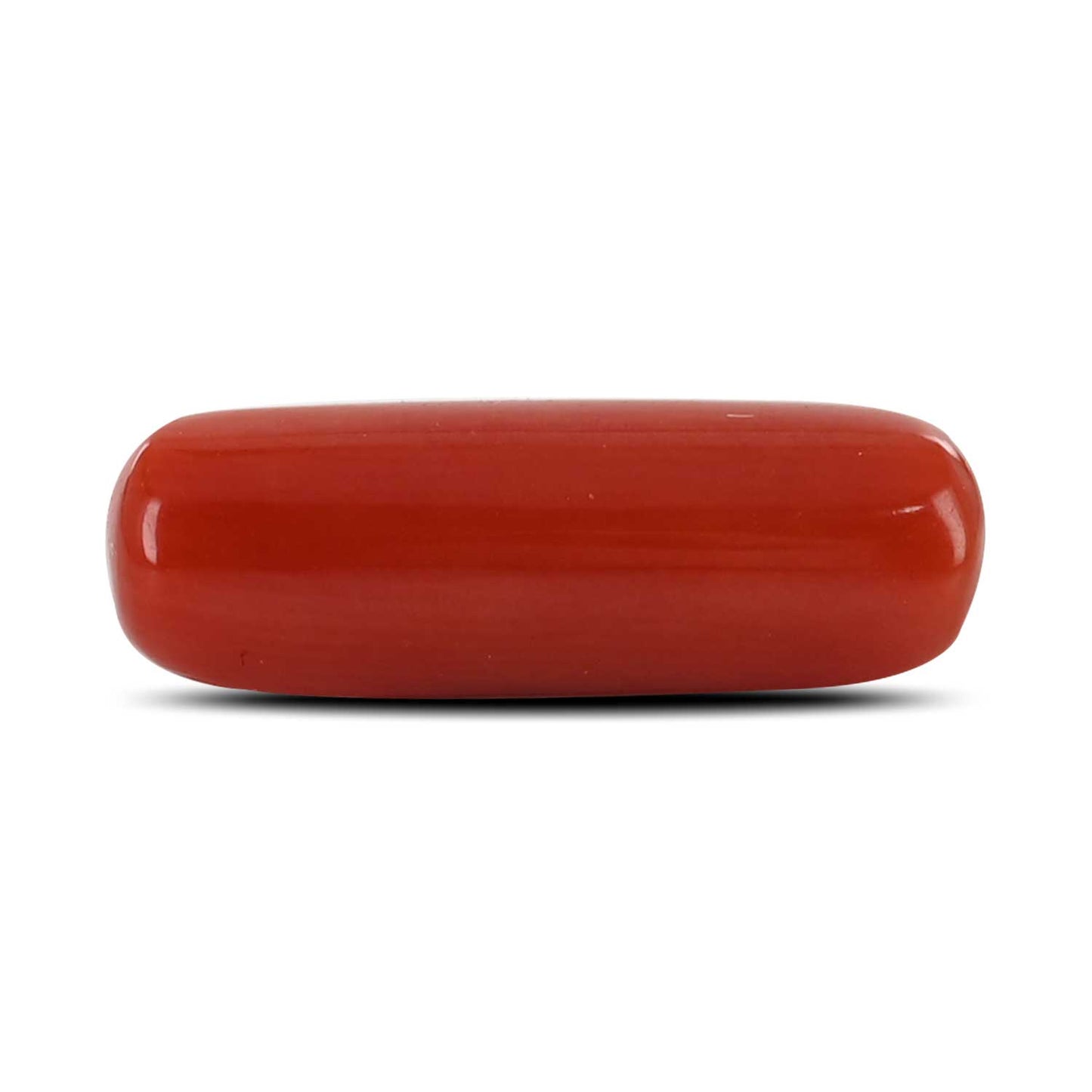 Red Coral (Moonga) - 5.4 Carat