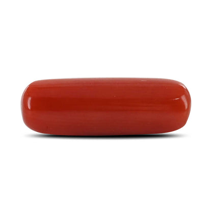 Red Coral (Moonga) - 5.4 Carat