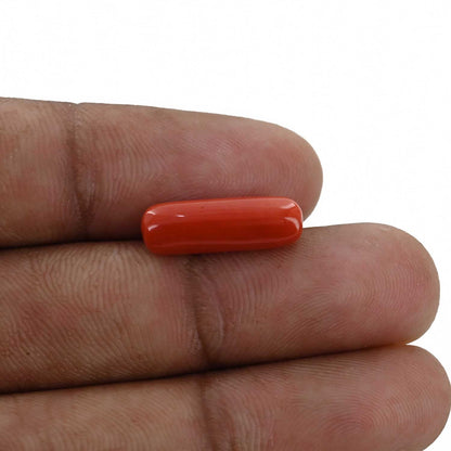 Red Coral (Moonga) - 5.4 Carat