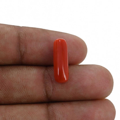 Red Coral (Moonga) - 5.4 Carat