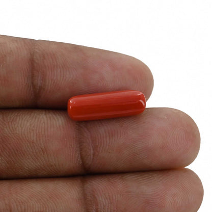Red Coral (Moonga) - 5.4 Carat