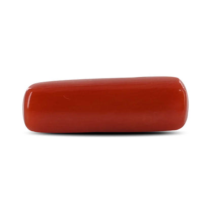 Red Coral (Moonga) - 4.84 Carat