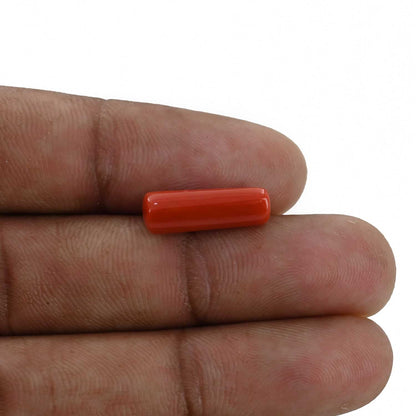 Red Coral (Moonga) - 4.84 Carat
