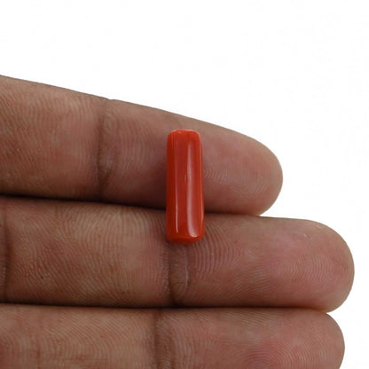 Red Coral (Moonga) - 4.84 Carat