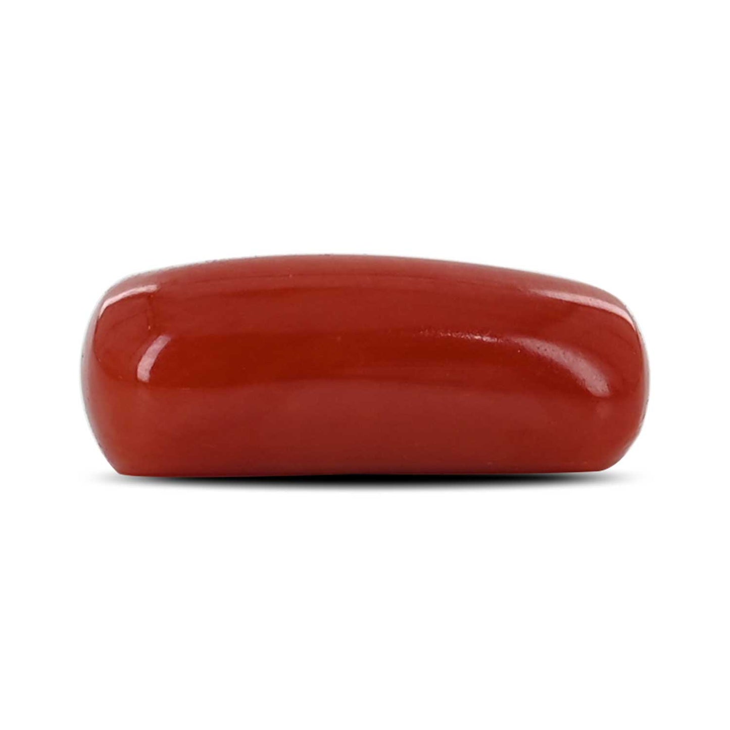 Red Coral (Moonga) - 5.47 Carat