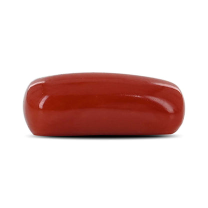 Red Coral (Moonga) - 5.47 Carat