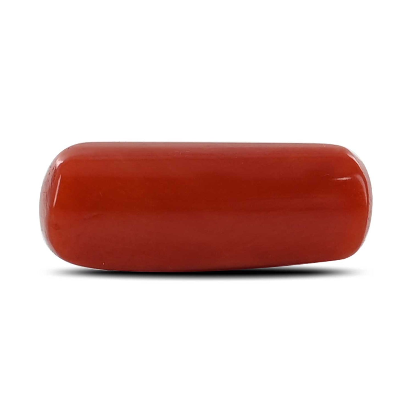 Red Coral (Moonga) - 5.47 Carat