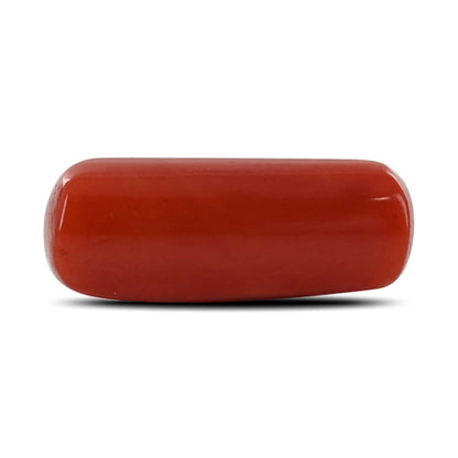 Red Coral (Moonga) - 5.47 Carat
