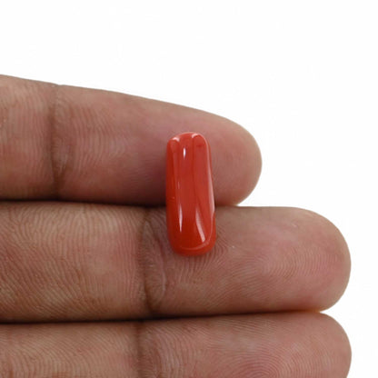 Red Coral (Moonga) - 5.47 Carat