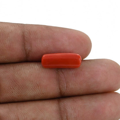 Red Coral (Moonga) - 5.47 Carat