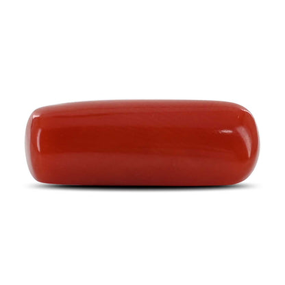 Red Coral (Moonga) - 5.39 Carat
