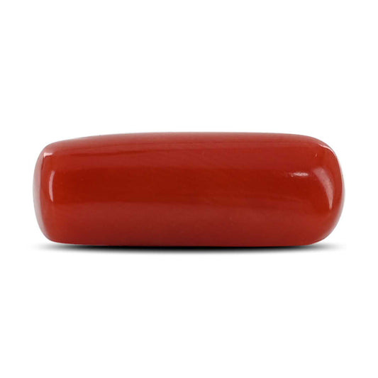 Red Coral (Moonga) - 5.39 Carat