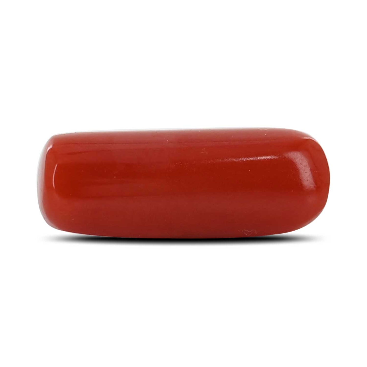 Red Coral (Moonga) - 5.39 Carat