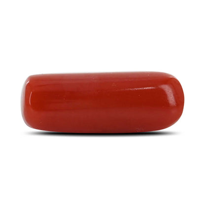 Red Coral (Moonga) - 5.39 Carat