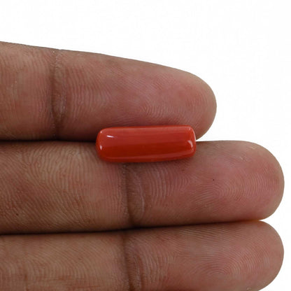 Red Coral (Moonga) - 5.39 Carat