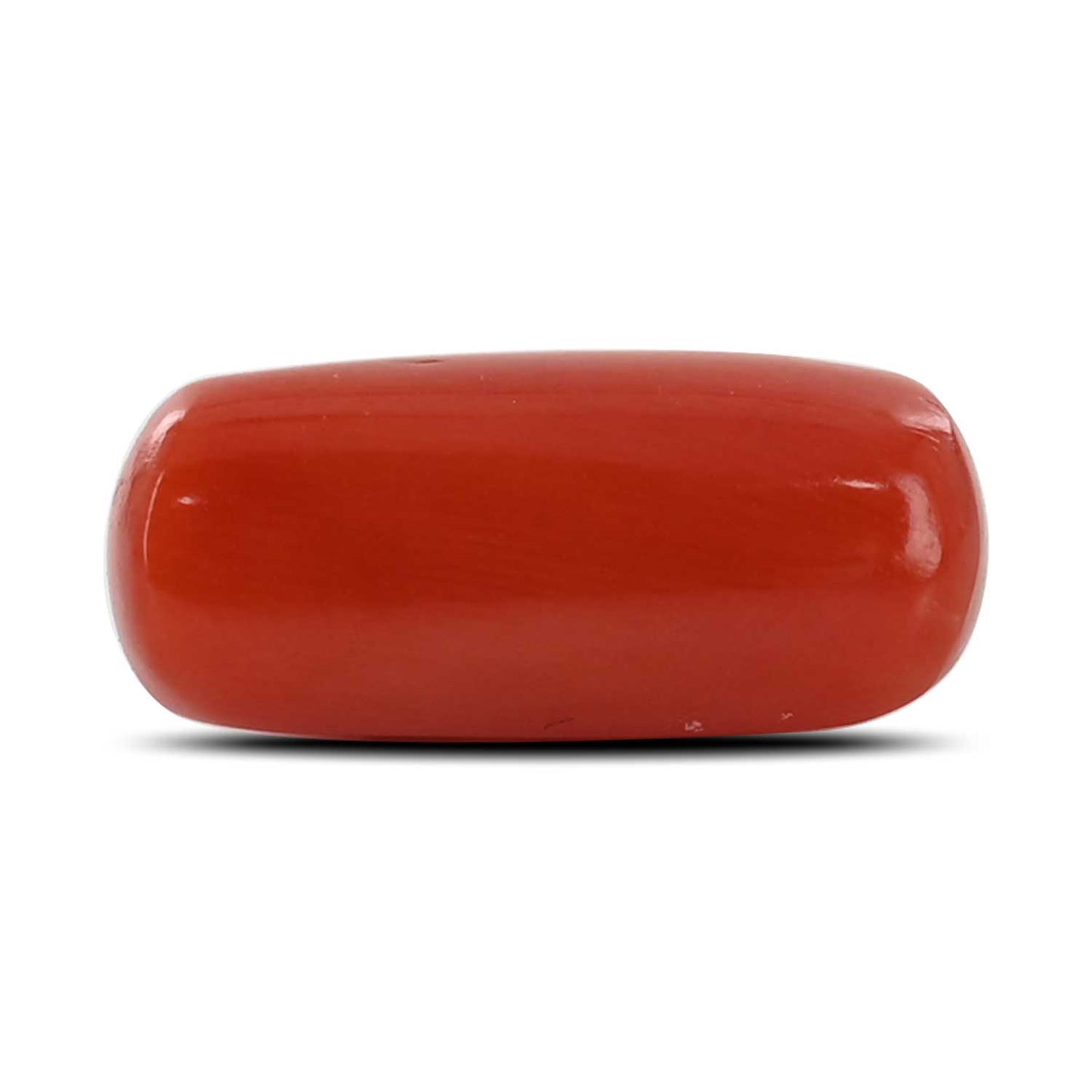 Red Coral (Moonga) - 4.97 Carat