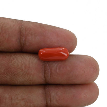 Red Coral (Moonga) - 4.97 Carat