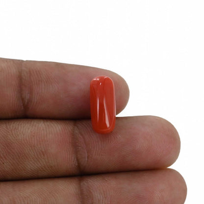Red Coral (Moonga) - 4.97 Carat