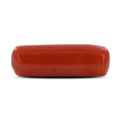 Red Coral (Moonga) - 5.44 Carat