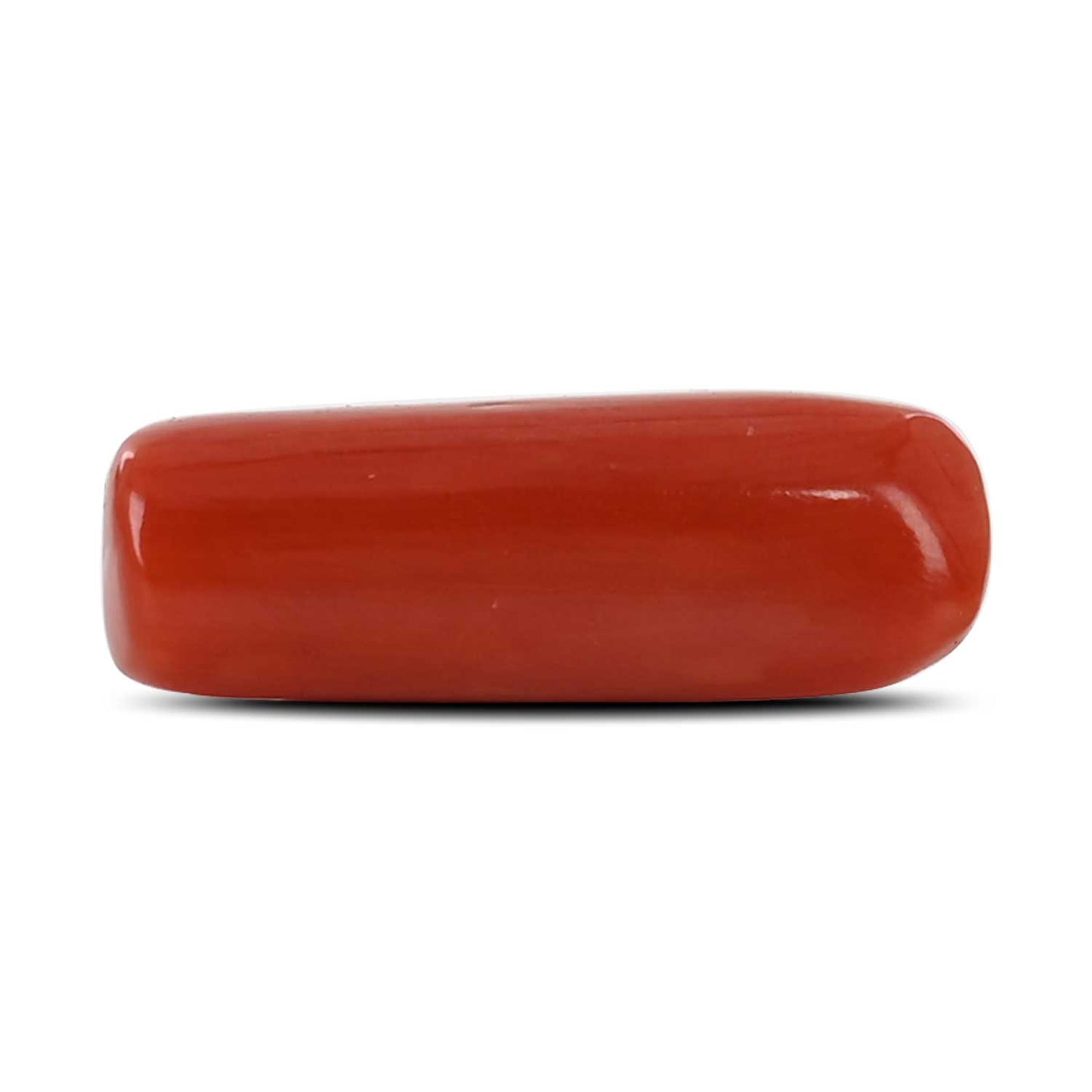 Red Coral (Moonga) - 4.9 Carat
