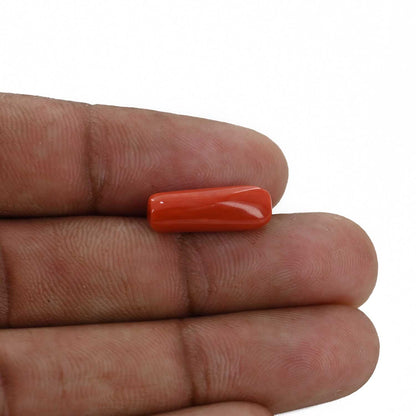 Red Coral (Moonga) - 4.9 Carat
