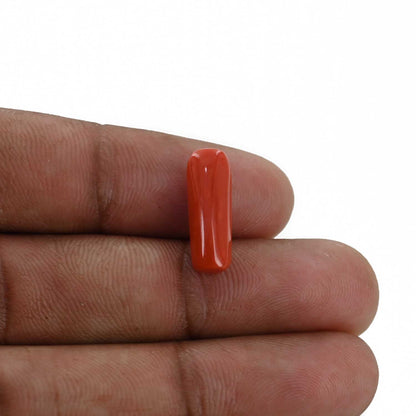 Red Coral (Moonga) - 4.9 Carat