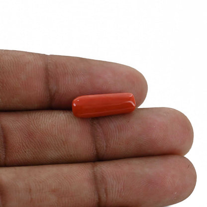 Red Coral (Moonga) - 4.9 Carat