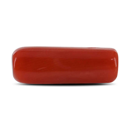 Red Coral (Moonga) - 4.85 Carat