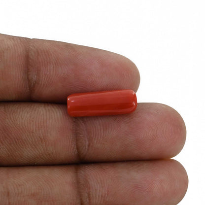 Red Coral (Moonga) - 4.85 Carat