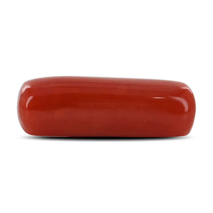 Red Coral (Moonga) - 5.32 Carat