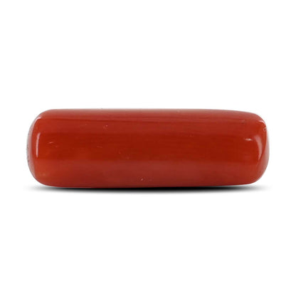 Red Coral (Moonga) - 5.32 Carat
