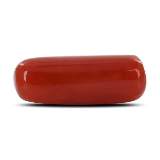 Red Coral (Moonga) - 5.28 Carat