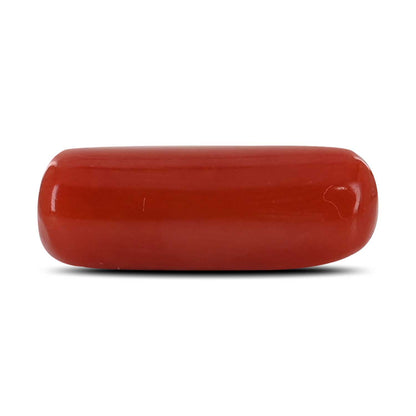 Red Coral (Moonga) - 5.28 Carat