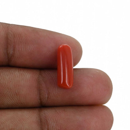 Red Coral (Moonga) - 5.28 Carat