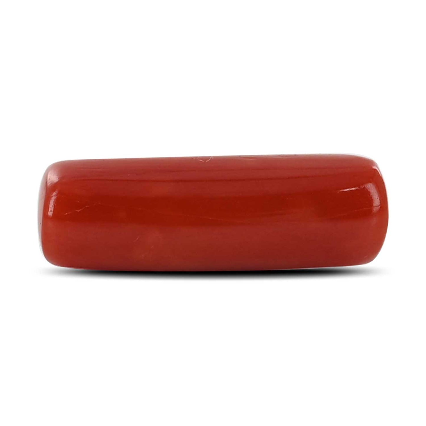 Red Coral (Moonga) - 5.36 Carat