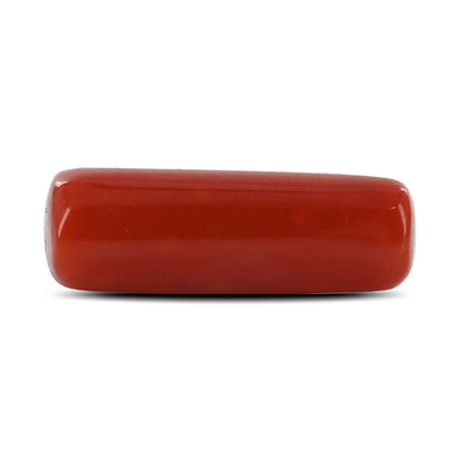 Red Coral (Moonga) - 5.36 Carat