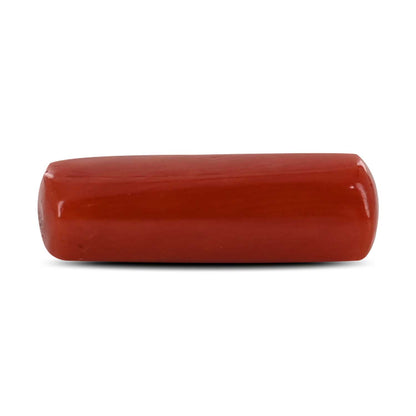Red Coral (Moonga) - 4.86 Carat