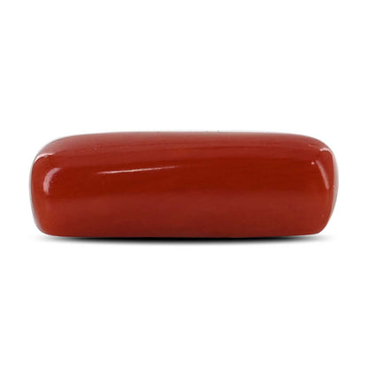 Red Coral (Moonga) - 4.86 Carat