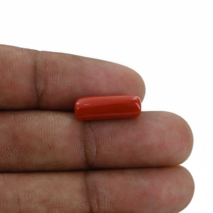 Red Coral (Moonga) - 4.86 Carat