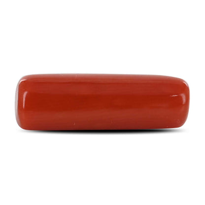 Red Coral (Moonga) - 5.39 Carat