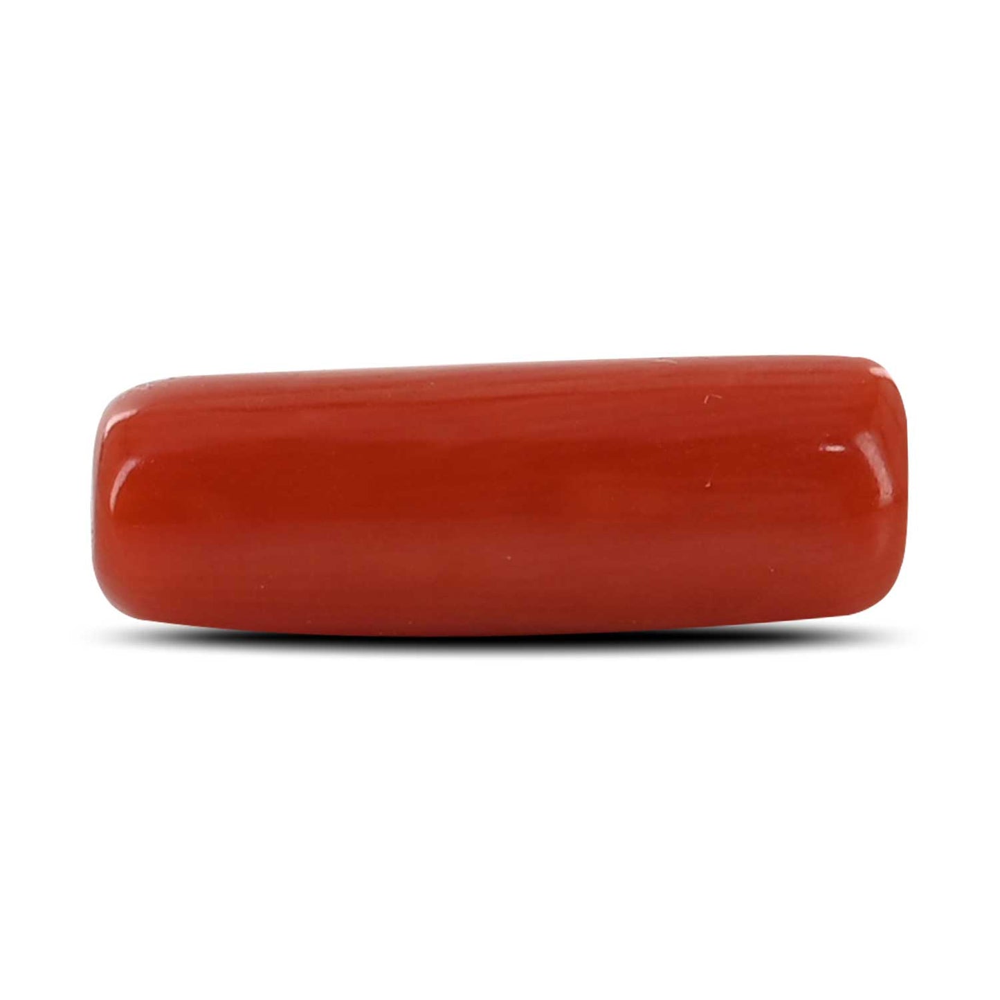Red Coral (Moonga) - 5.39 Carat
