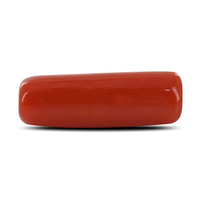 Red Coral (Moonga) - 5.39 Carat