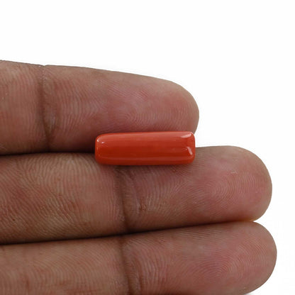 Red Coral (Moonga) - 5.39 Carat