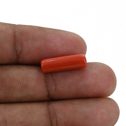 Red Coral (Moonga) - 5.39 Carat