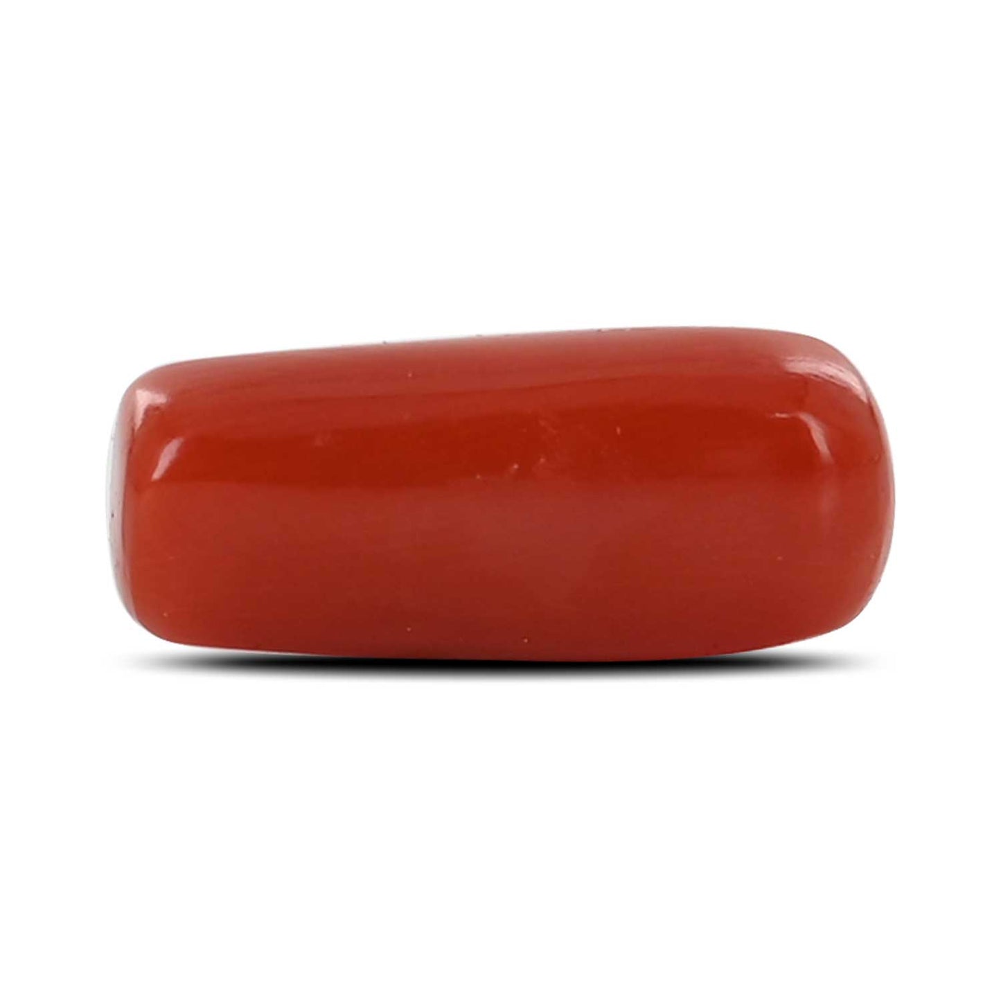 Red Coral (Moonga) - 5.26 Carat